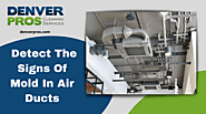 Detect The Signs Of Mold In Air Ducts | Denver Pros Aurora