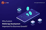 Custom Mobile App Development Services Company in USA