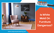 Is White Mold On Furniture Dangerous | Turlock, CA