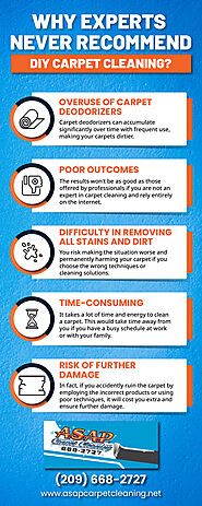 Why Experts Never Recommend DIY Carpet Cleaning? [Infographic]