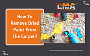 How To Remove Dried Paint From The Carpet | San Antonio, TX