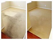 Professional Carpet Cleaning in Dallas, TX