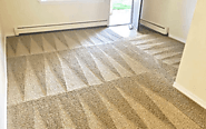 5 Main Factors That Affect The Carpet Cleaning Cost