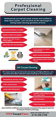 Professional Carpet Cleaning Vs DIY [Infographic] | La Mesa