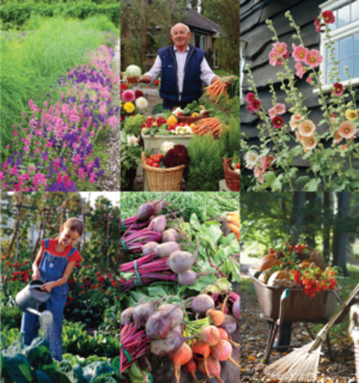 List Of Free Printed Seed Catalogs Looking For Hope And Joy In