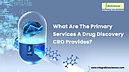 What Are The Primary Services A Drug Discovery CRO Provides? – Site Title