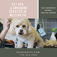Pet Spa & Grooming Services in McLean VA