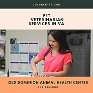 Pet Veterinarian Services in VA