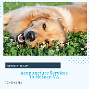 Acupuncture Services in McLean VA