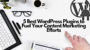 5 BEST WORDPRESS PLUGINS TO FUEL YOUR CONTENT MARKETING EFFORTS - SFWPExperts - WordPress website