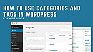 How To Use Categories And Tags In WordPress For Your Blogs - SFWPExperts