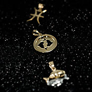 Website at https://jewelryamerica.com/product/14k-yellow-gold-reversible-round-pisces-zodiac-sign-pendant
