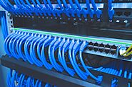 Cable management systems allow easy transmission of information on the internet and also manage both digital and anal...