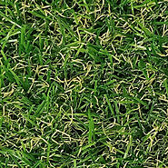 BUY ADELAIDE 20MM ARTIFICIAL GRASS