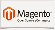 Magento: How to Display a Single Product Instead of a Category on Home Page