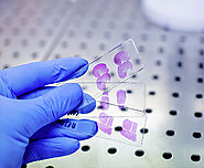 Laboratory Services in Gurgaon | Pathology Services in Gurgaon