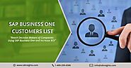 SAP Business One Customers List – TDInsights