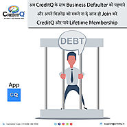 Report Business Credit Defaulters