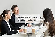 How To Choose The Best PRO Service Company in Dubai
