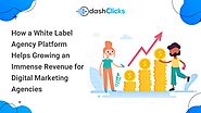 How a White Label Agency Platform Helps Growing an Immense Revenue for Digital Marketing Agencies?