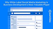 Why White Label Social Media Marketing Is Business Development's Most Valuable Player?