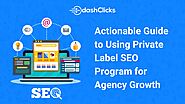 Actionable Guide to Using Private Label SEO Program for Agency Growth