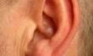 Hearing loss accelerates brain function decline in older adults