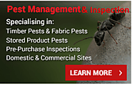 What’s Involved In Pest Control Brisbane Services?