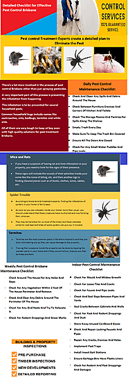 Detailed Checklist for Effective Pest Control Brisbane