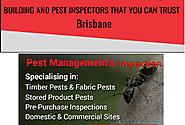 Reasons Why Pre-Purchase Pest Inspection Brisbane Services Are So Important