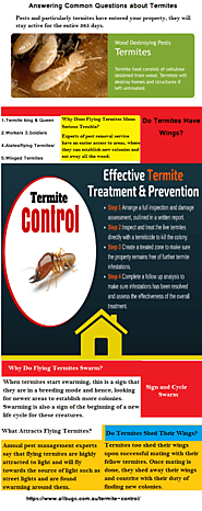 Answering Common Questions about Termites