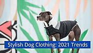 Stylish Dog Clothing: 2021 Trends