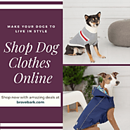 Shop Trendy Dog Clothes Online at Affordable Prices