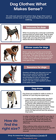 Dog Clothes: What Makes Sense?