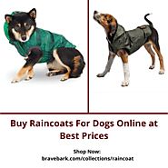 Buy Raincoats For Dogs Online at Best Prices