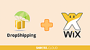 Start Dropshipping with Wix: Know everything about it
