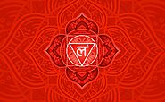 Website at https://www.rishikeshyogagurukulam.com/root-chakra-manual-all-about-the-first-chakra-mooladhara