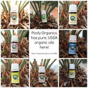 A package of holistic essential oils, specifically lavender (to relax), peppermint (for energy), and oregano (to stav...