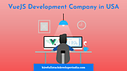 VueJS Development Company in USA