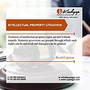 Intellectual Property Litigation