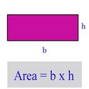 Area of a Rectangle