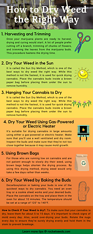 How to Dry Weed: Best Tips & Handy Drying Techniques