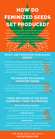 How Do Feminized Seeds Get Produced?