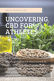 Uncovering CBD for Athletes - Rocket Seeds | Buy Marijuana Seeds Online