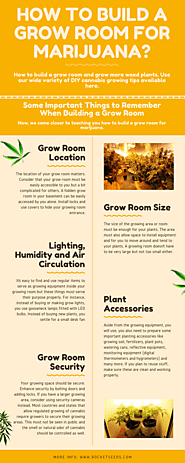 How to Build a Grow Room: Easy to Follow Guide