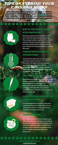 Tips on Storing Your Cannabis Seeds - Rocket Seeds | Buy Marijuana Seeds Online