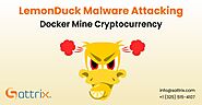 LemonDuck Malware Attacking Docker Mine Cryptocurrency - Sattrix