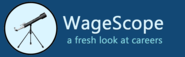 WageScope - a fresh look at careers