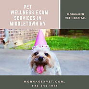 Pet Wellness Exam Services in Middletown NY