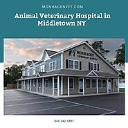 Animal Veterinary Hospital in Middletown NY